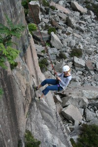 Mrs. Turkadactyl Swooping to the Ground