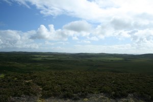 "The Track" leading to the road.