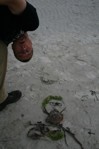 Turkadactyl (Canada)