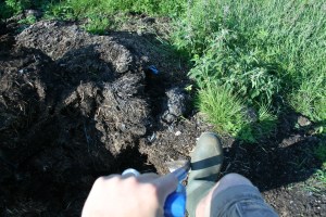 Enjoy the view from my eyes.