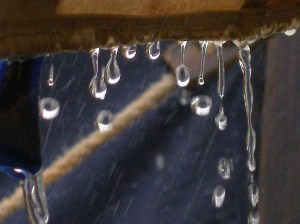 My entry for next years Bunessan Show