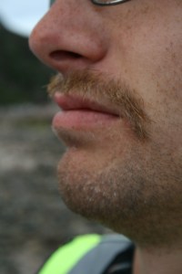 Moustache sends his regards