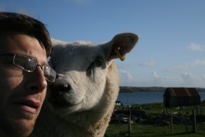 I was scared that this sheep was going to rip my head off.