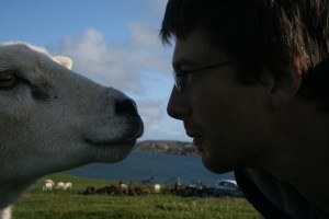 UFC-97- A Sheep vs Turkadactyl