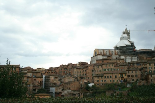Sienna from Santa Domenica
