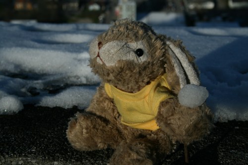 salzburg08-74 Sniffles, what do you have planned for that snowball?