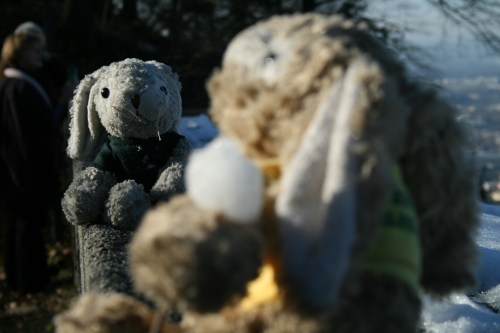 salzburg08-771 salzburg08-771