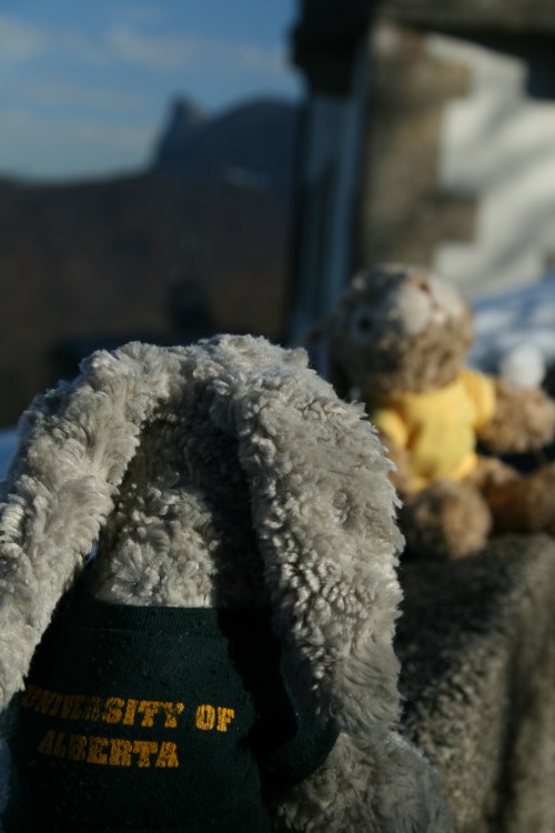 salzburg08-79 Looks as though Snuggles is sensing a disturbance in the force.