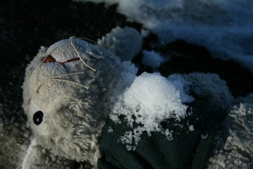 salzburg08-83 salzburg08-83