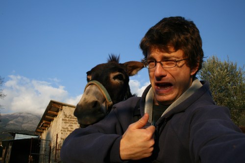 I thought this donkey was going to bite my head off.