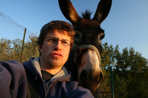 I was mistaken.  He was actually a friendly donkey, but not friendly to squirrels though.