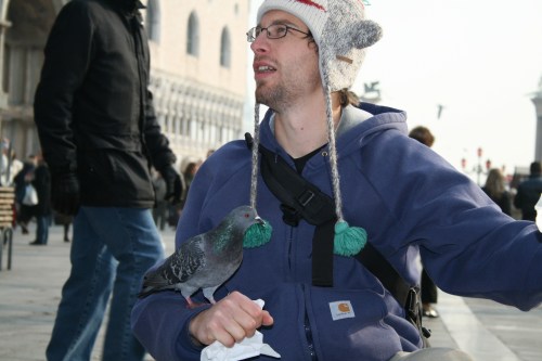 Success, we have new allies!