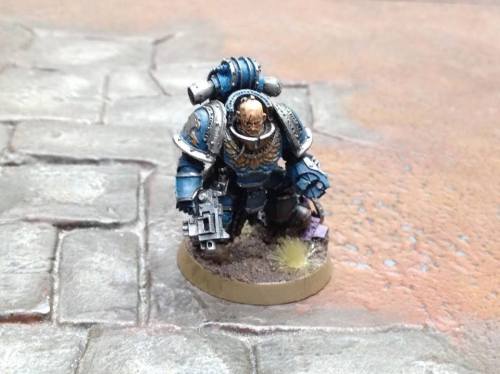 12552953_1159783514045702_7794559658141822946_n