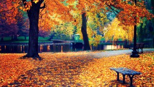 Autumn in Boston Public Garden