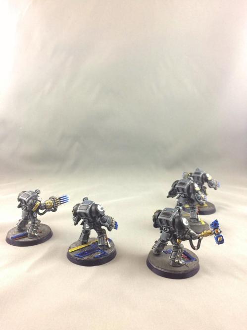 SHNITZEL - SHNITZEL - IMG_2631